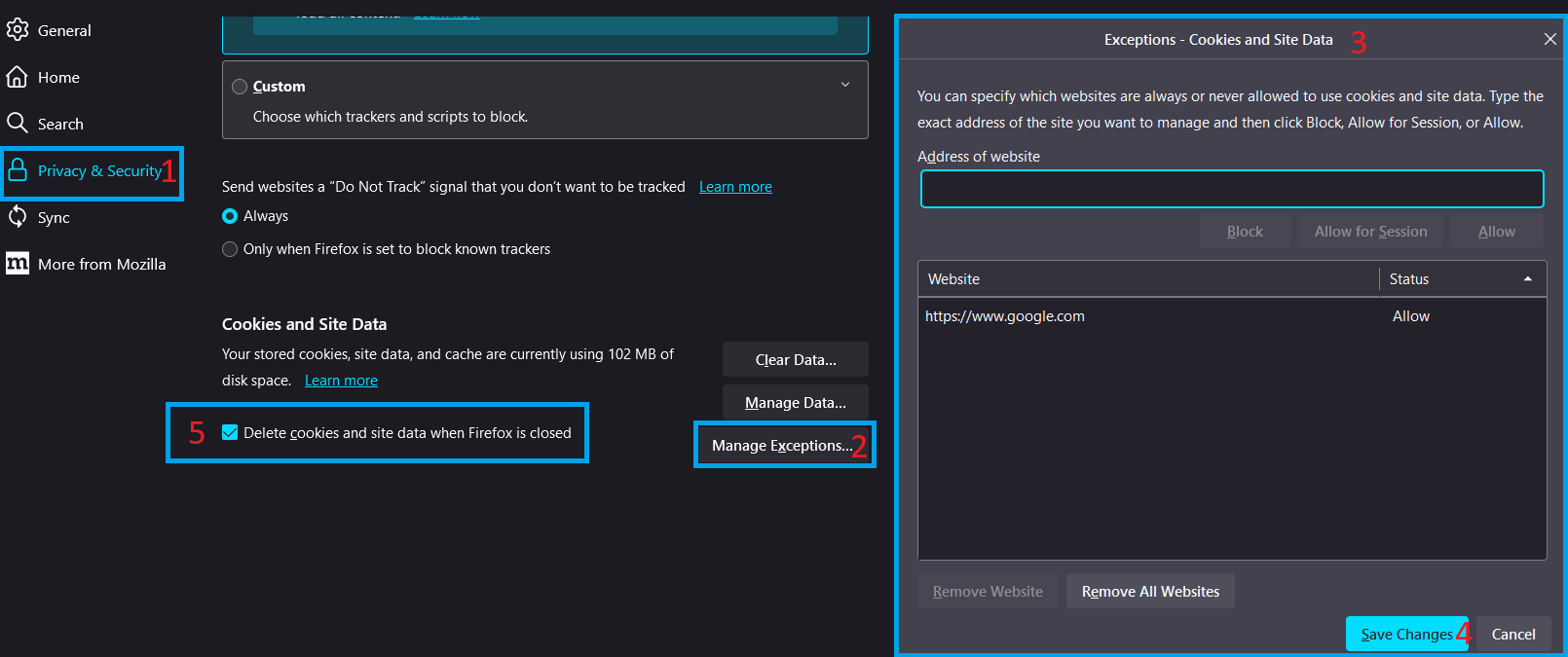 Cookies and Site Data